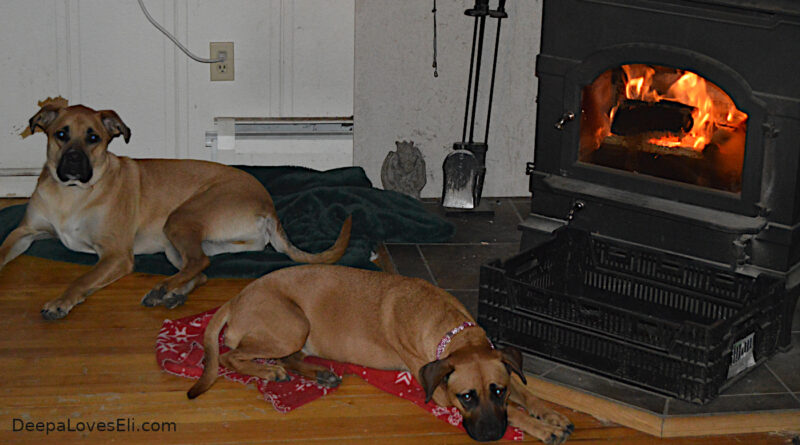 hanging by the fire
