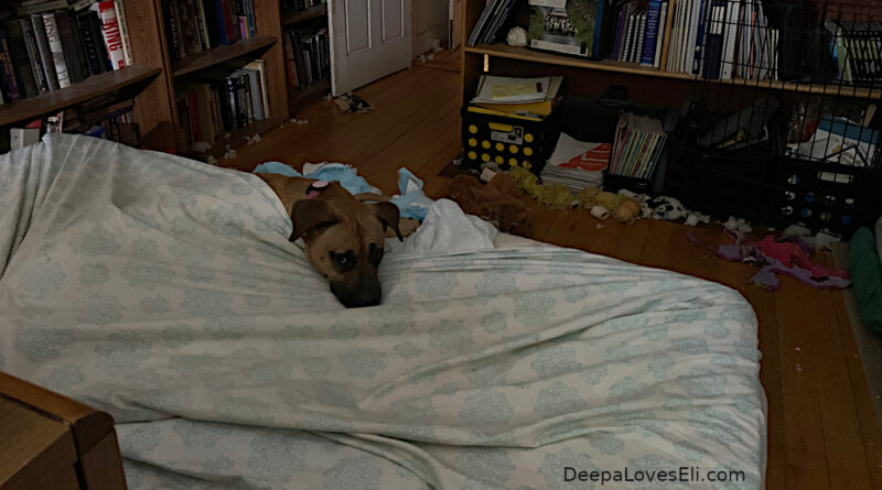Deepa on a daybed
