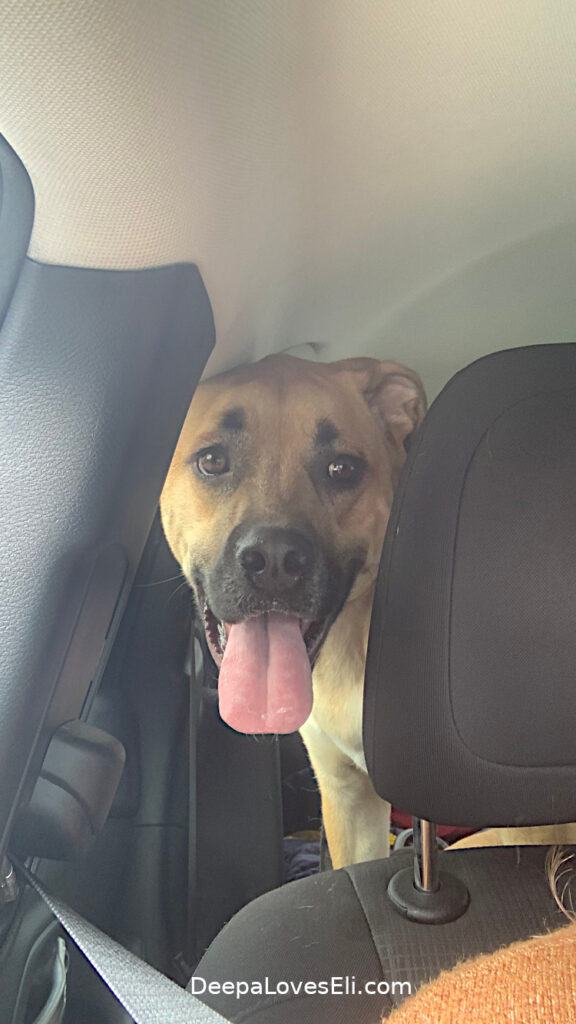 Eli heads on an adventure