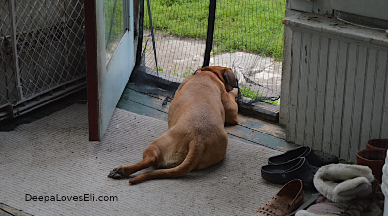 deepa looks out door