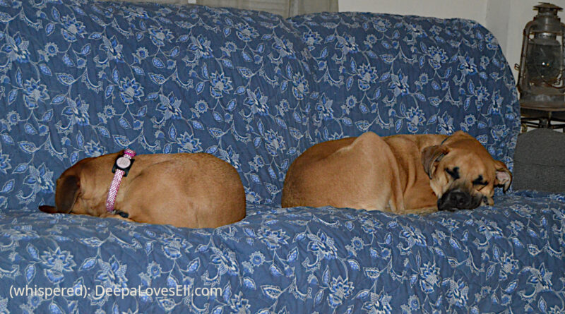 sleepytimes