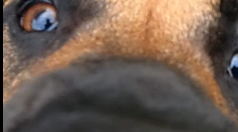 Deepa, up close