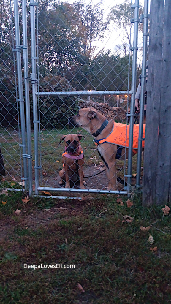 Ready for our walk.