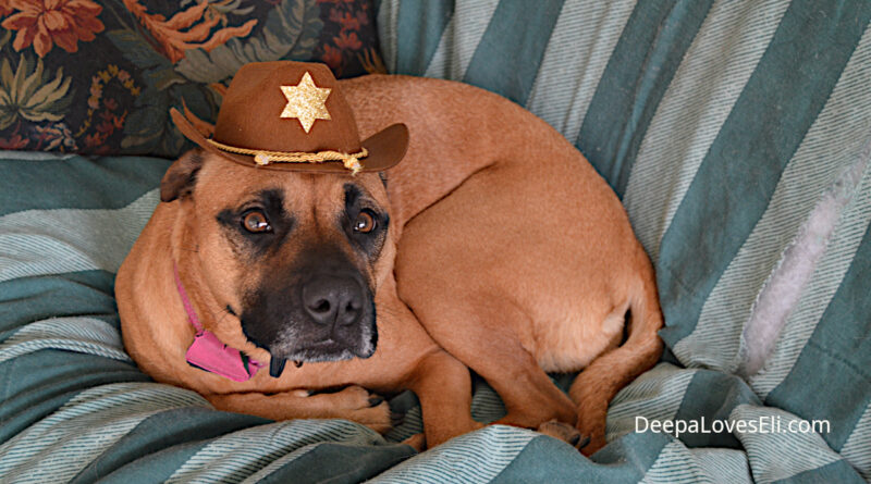 Deepa as cowgirl