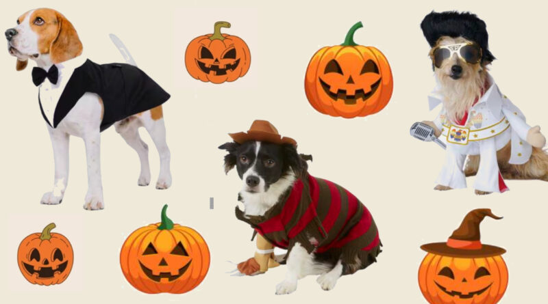 dog costumes